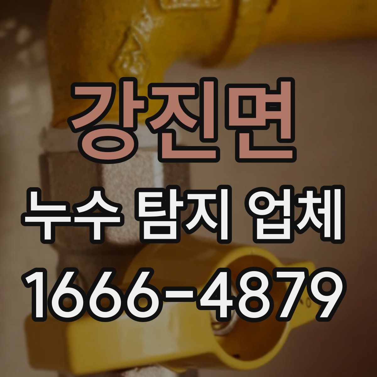 강진면 누수 탐지 업체