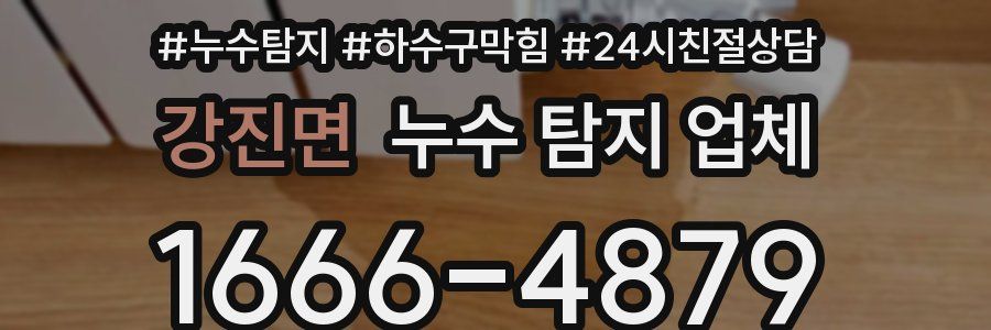 강진면 누수 탐지 업체