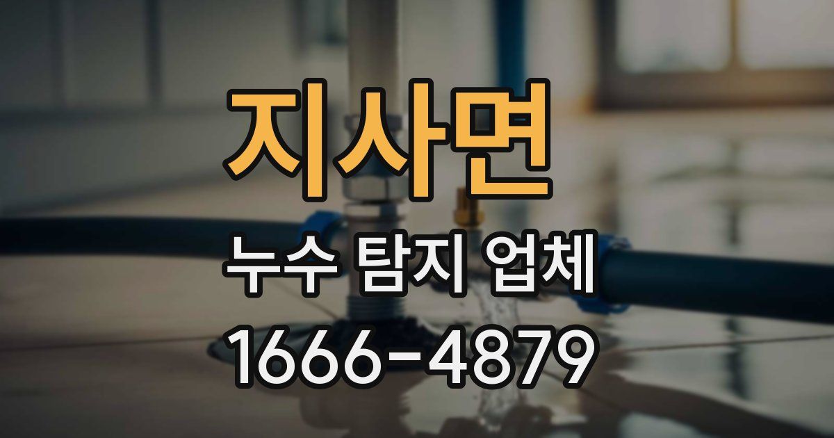 지사면 누수 탐지 업체