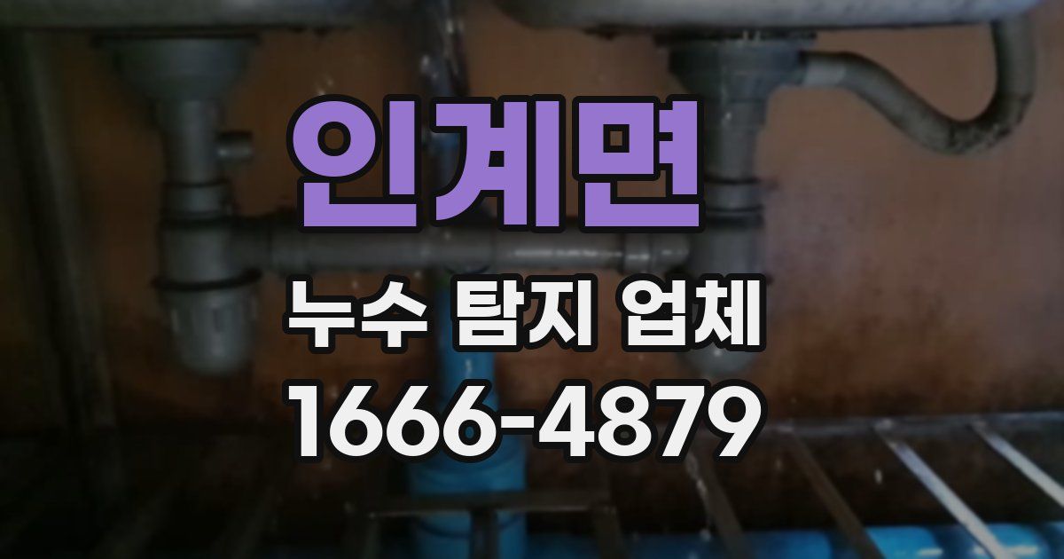 인계면 누수 탐지 업체