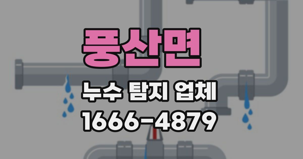 풍산면 누수 탐지 업체