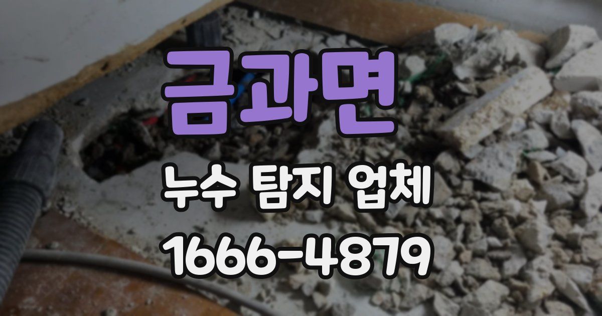 금과면 누수 탐지 업체
