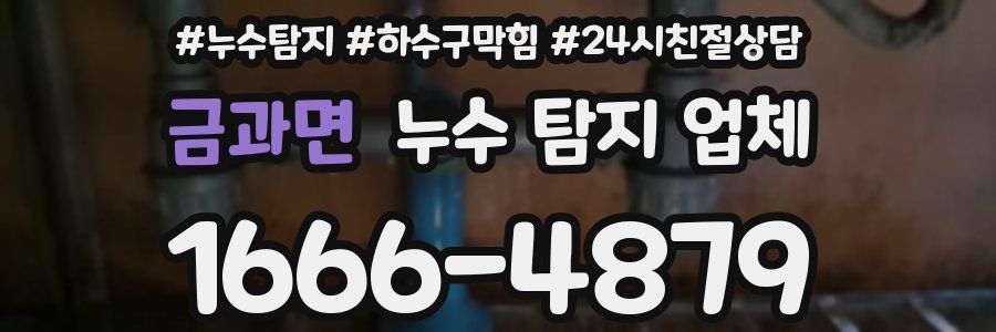 금과면 누수 탐지 업체