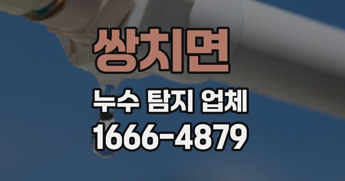 쌍치면 누수 탐지 업체