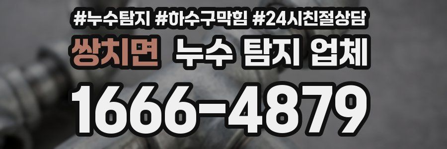 쌍치면 누수 탐지 업체
