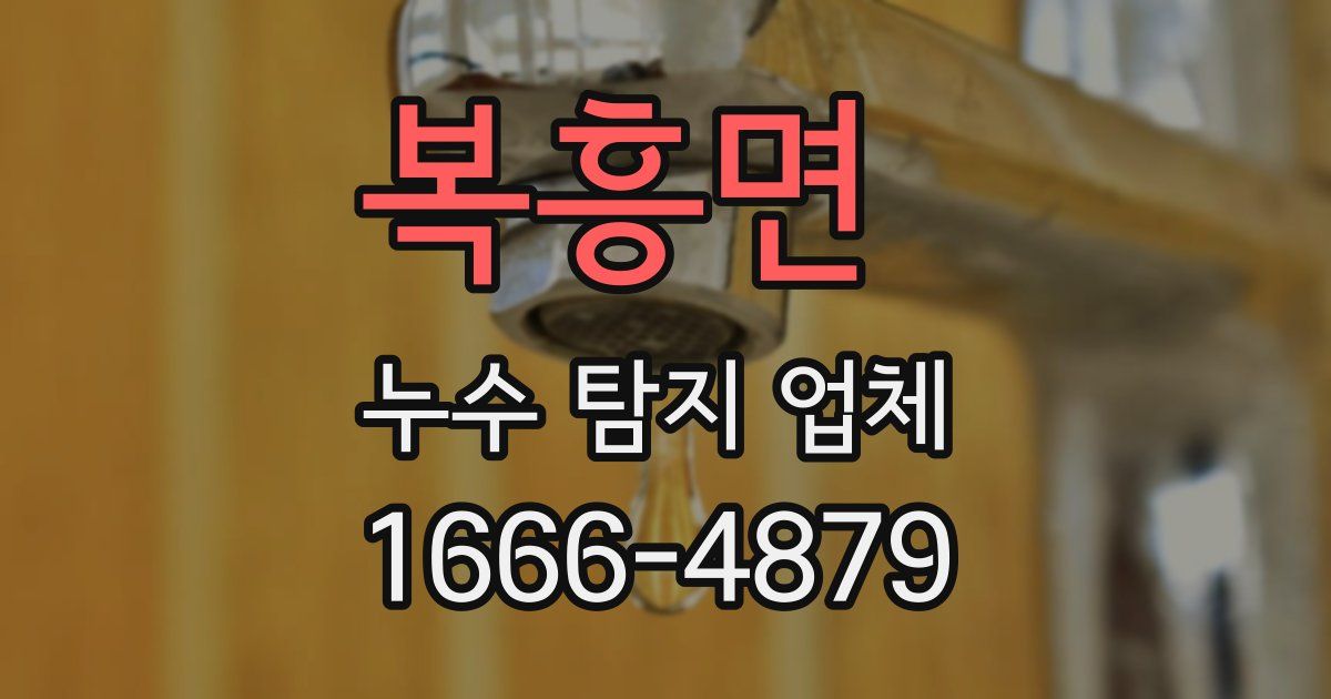복흥면 누수 탐지 업체