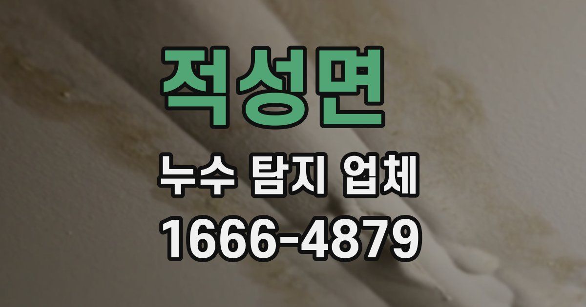 적성면 누수 탐지 업체