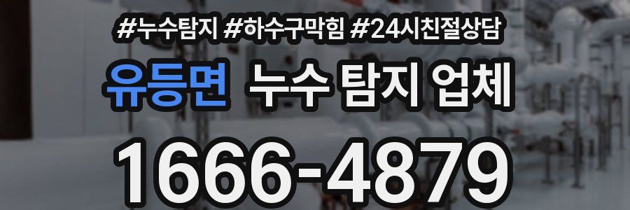 유등면 누수 탐지 업체