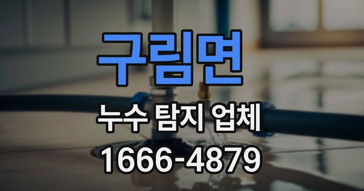 구림면 누수 탐지 업체