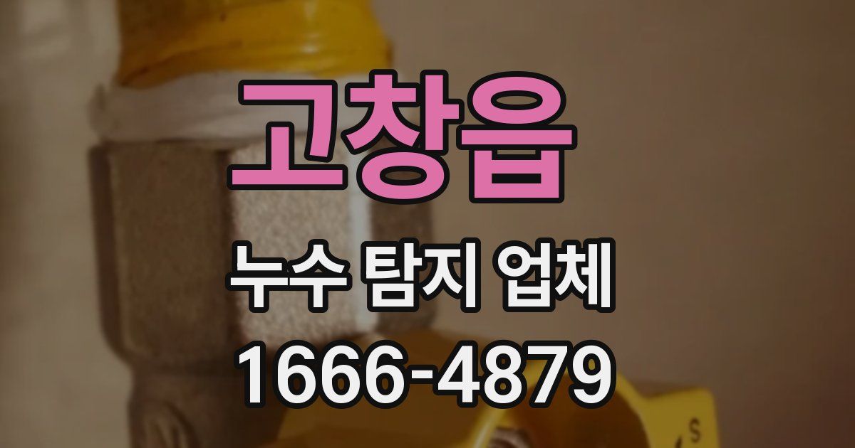 고창읍 누수 탐지 업체