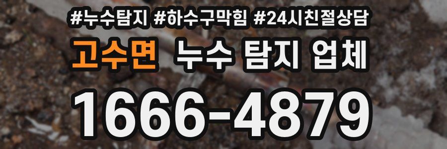 고수면 누수 탐지 업체