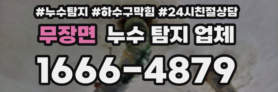 무장면 누수 탐지 업체