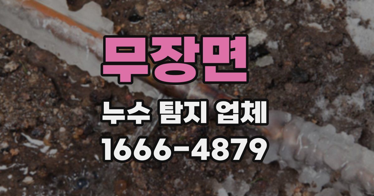 무장면 누수 탐지 업체