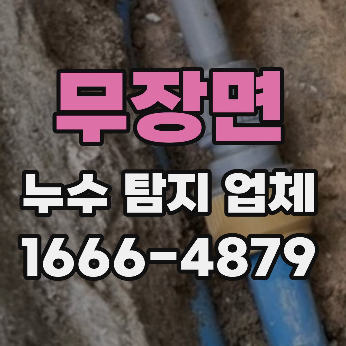 무장면 누수 탐지 업체