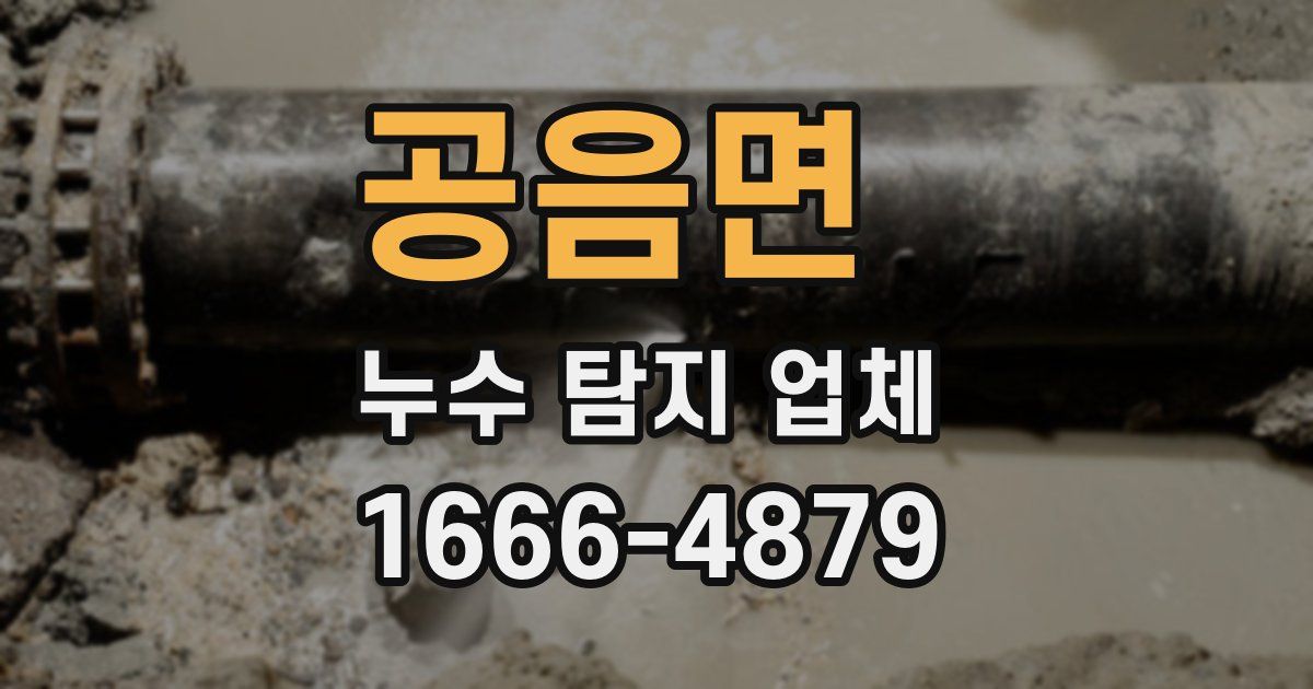 공음면 누수 탐지 업체