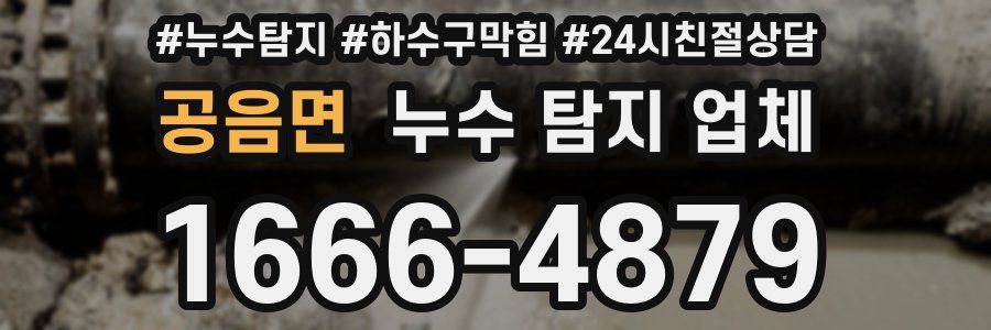 공음면 누수 탐지 업체