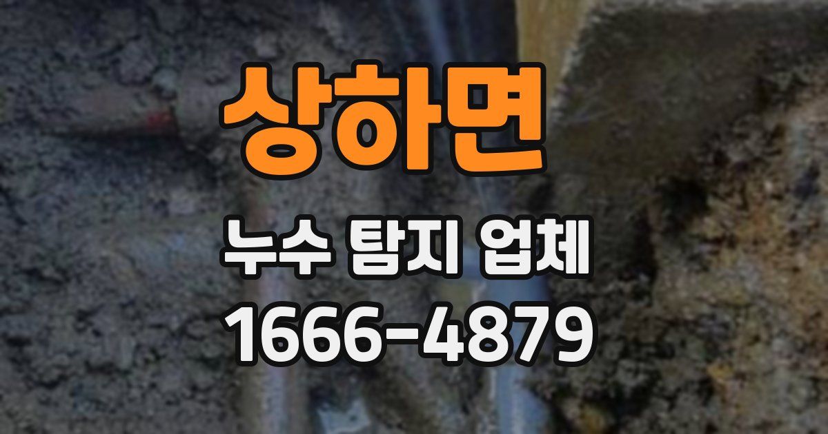 상하면 누수 탐지 업체