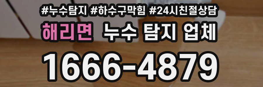 해리면 누수 탐지 업체