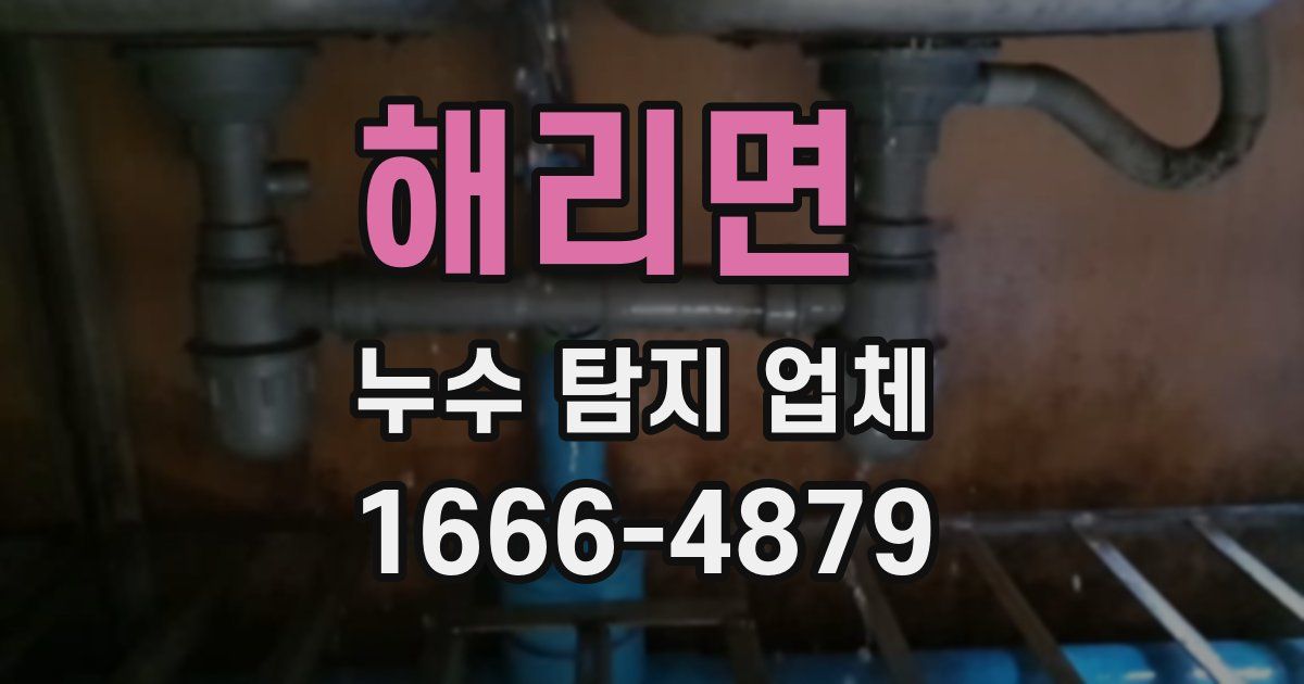 해리면 누수 탐지 업체