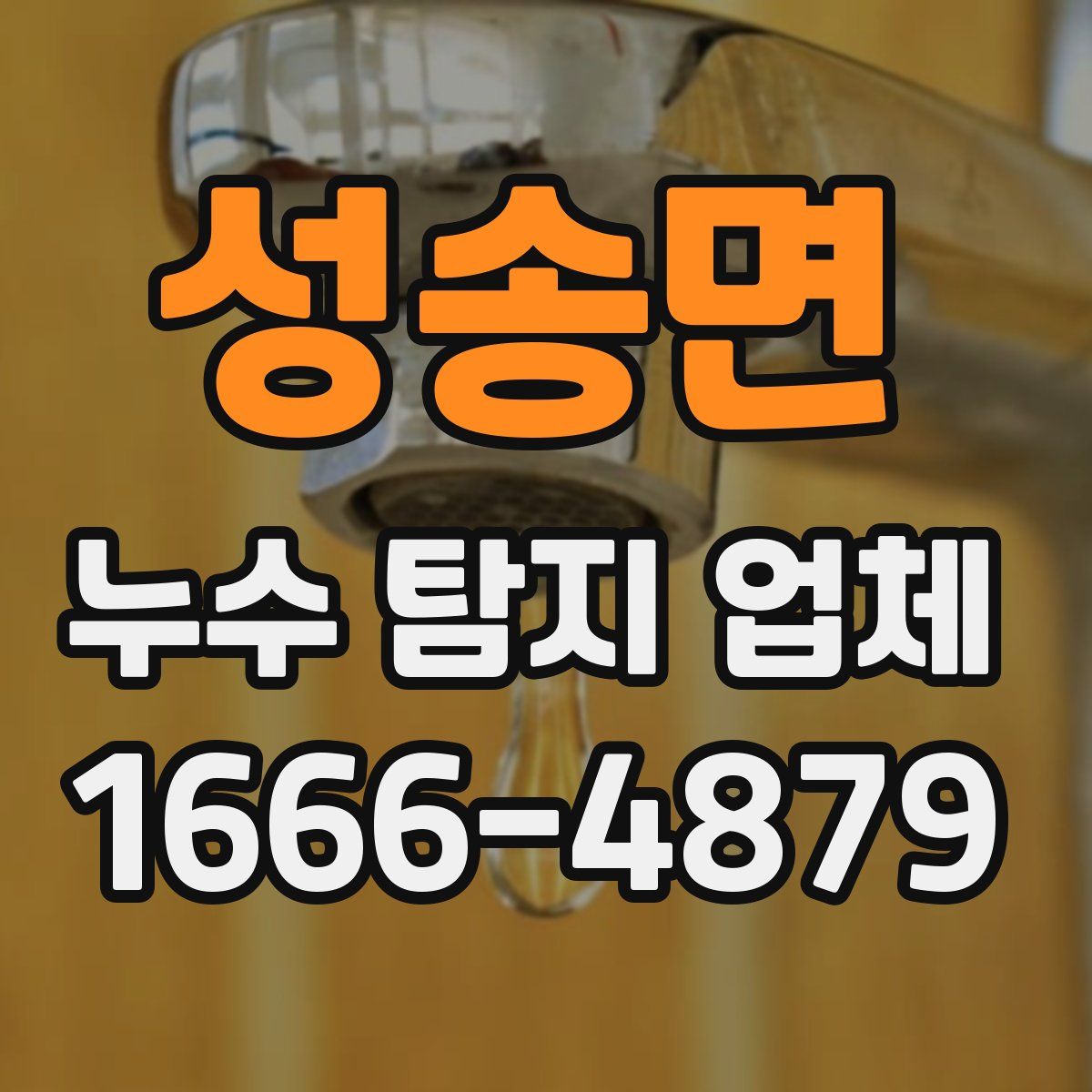 성송면 누수 탐지 업체