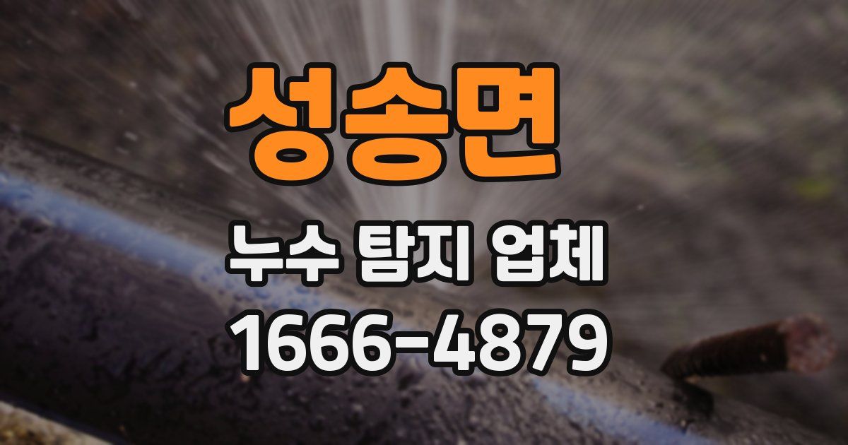 성송면 누수 탐지 업체
