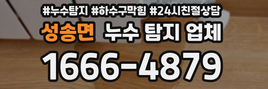성송면 누수 탐지 업체