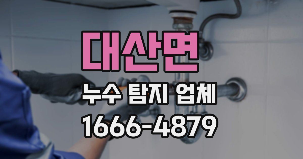 대산면 누수 탐지 업체