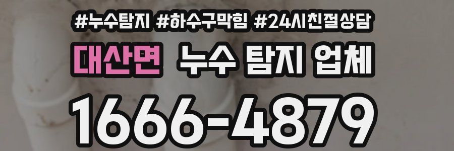대산면 누수 탐지 업체
