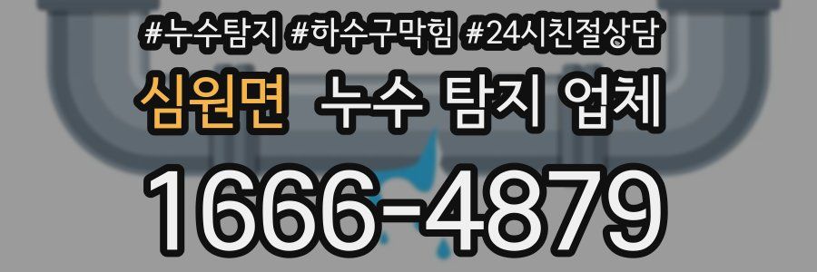 심원면 누수 탐지 업체