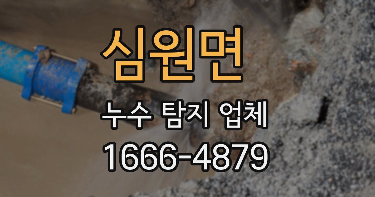 심원면 누수 탐지 업체