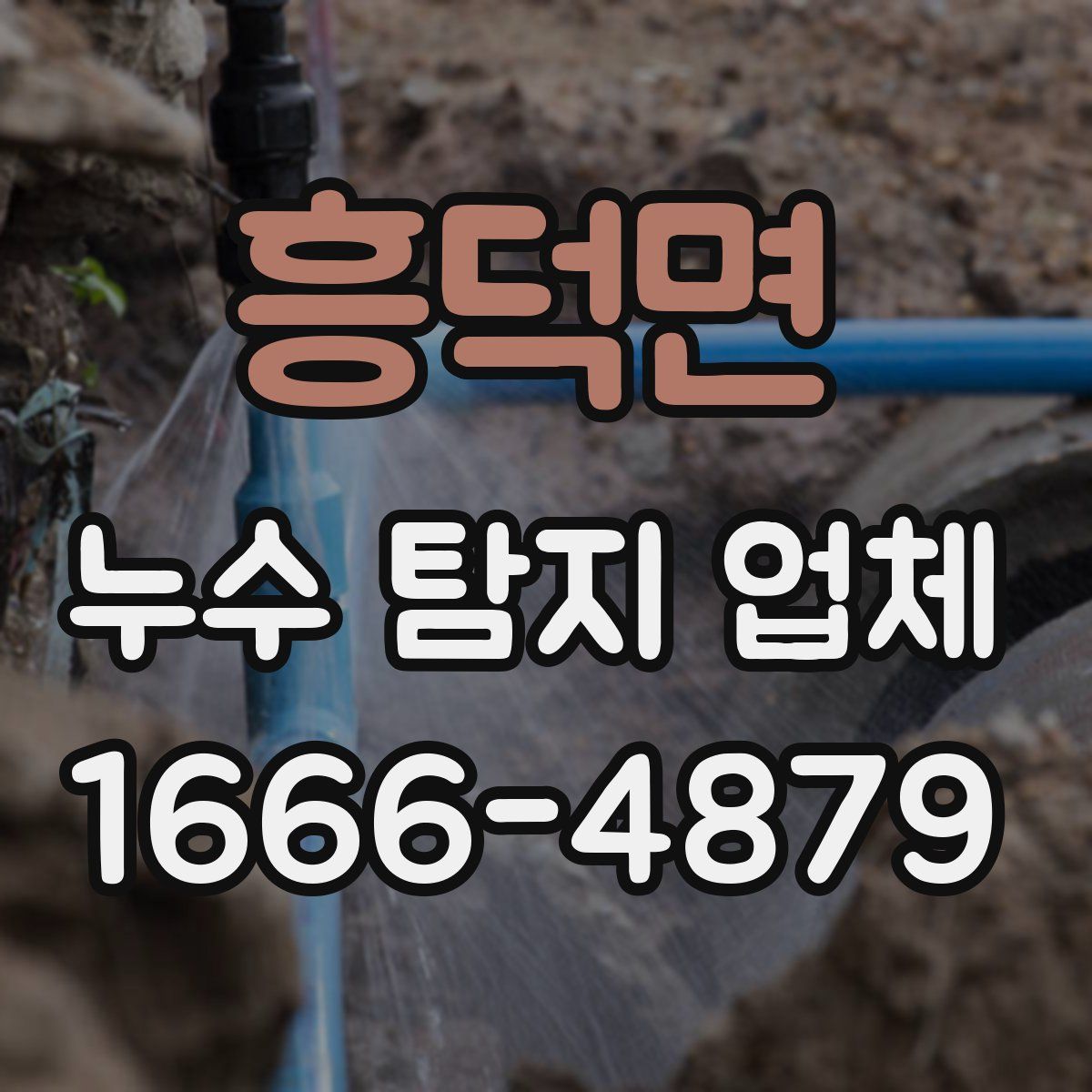 흥덕면 누수 탐지 업체