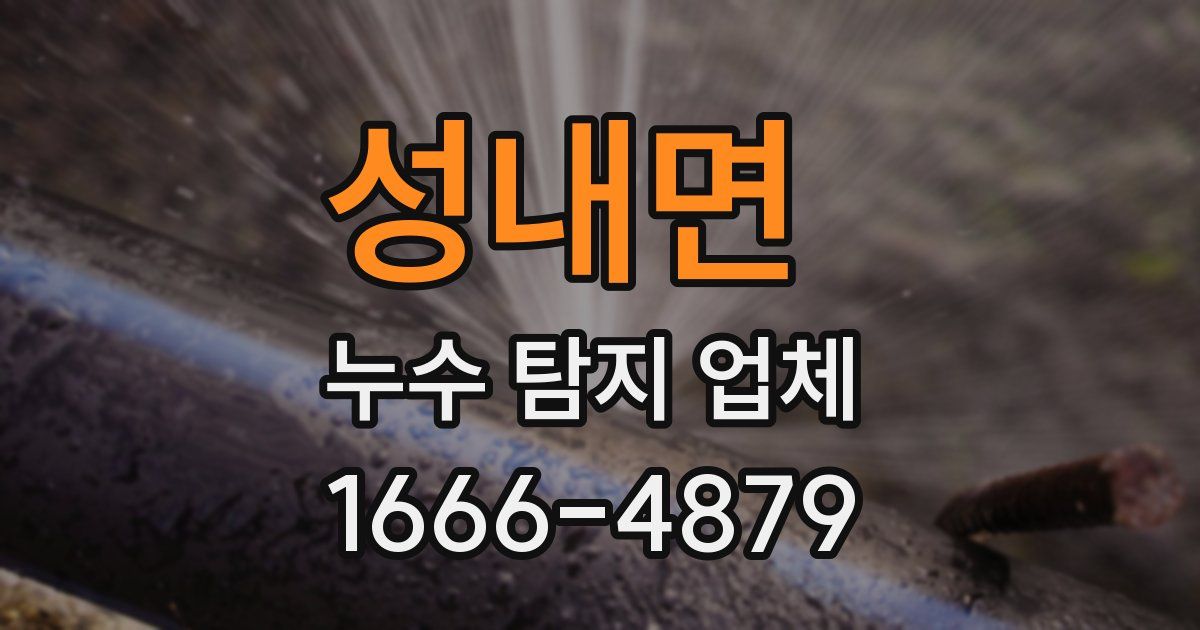 성내면 누수 탐지 업체