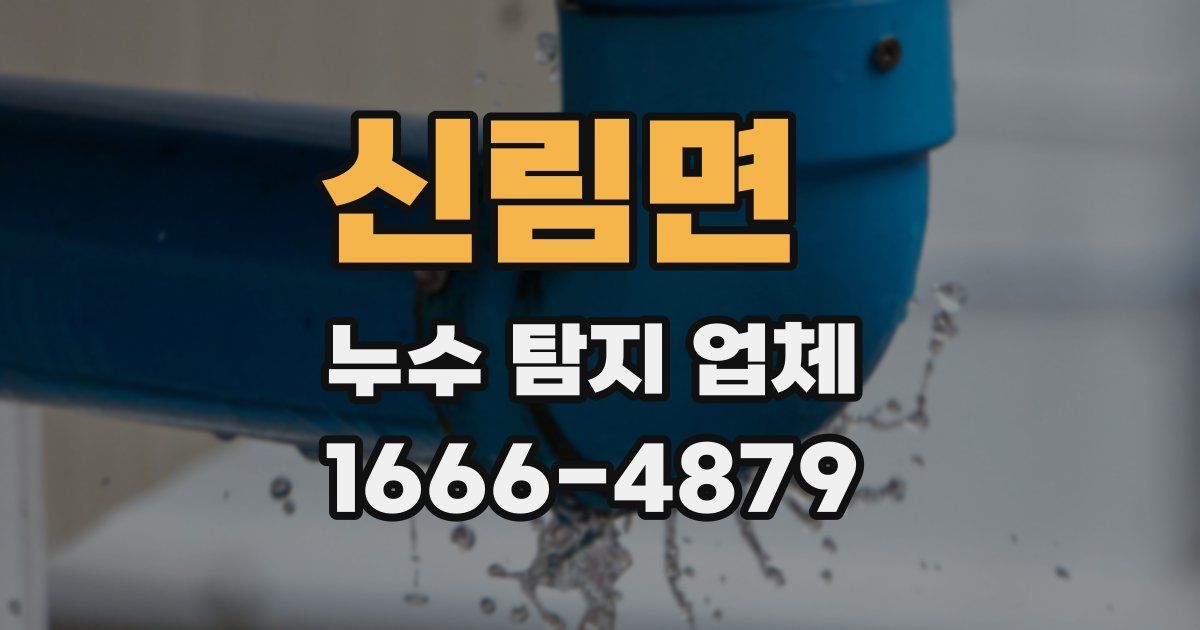 신림면 누수 탐지 업체