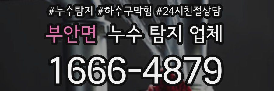부안면 누수 탐지 업체