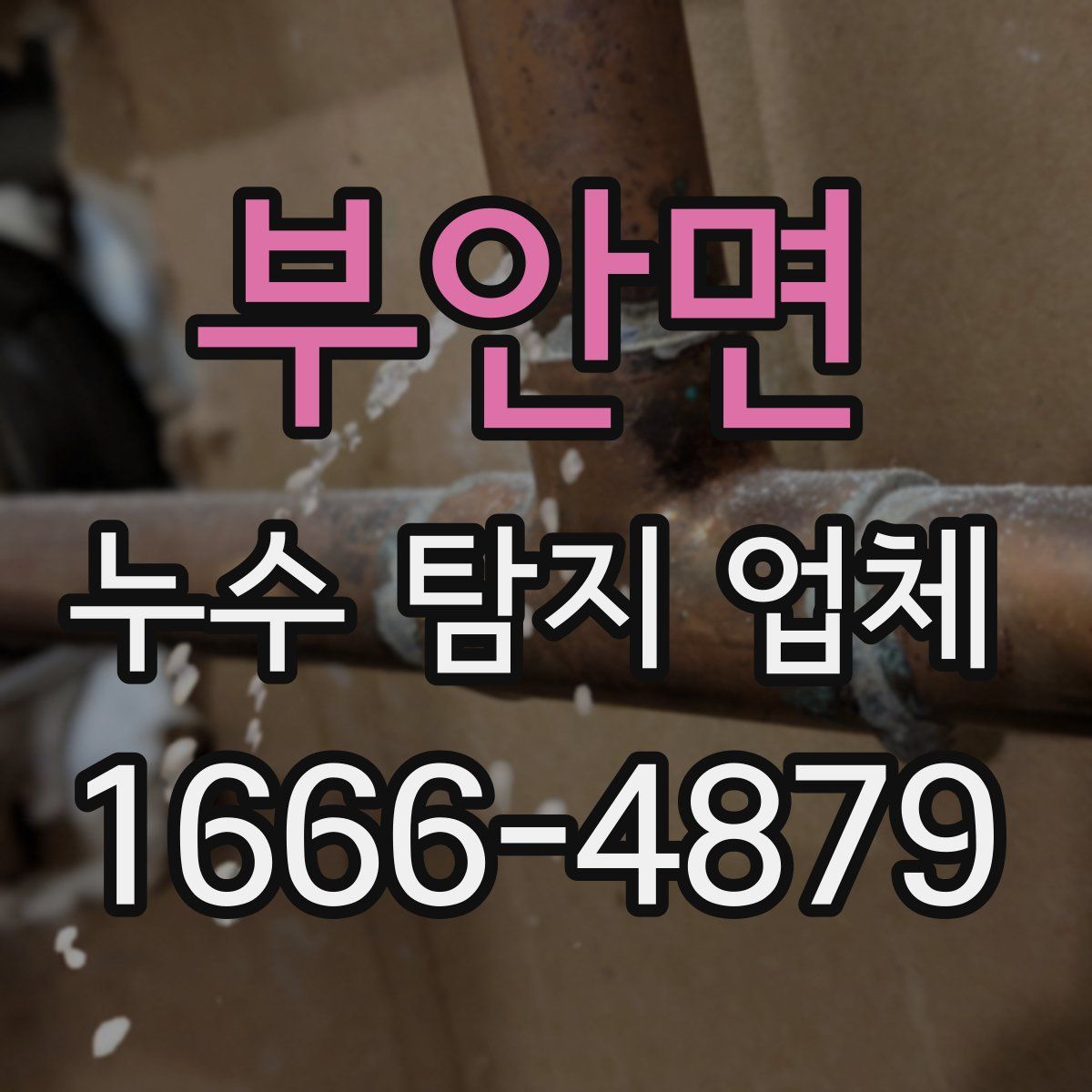 부안면 누수 탐지 업체
