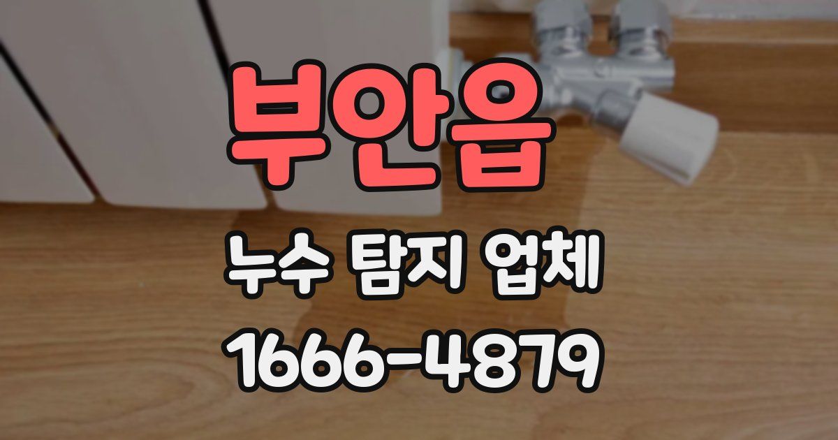 부안읍 누수 탐지 업체