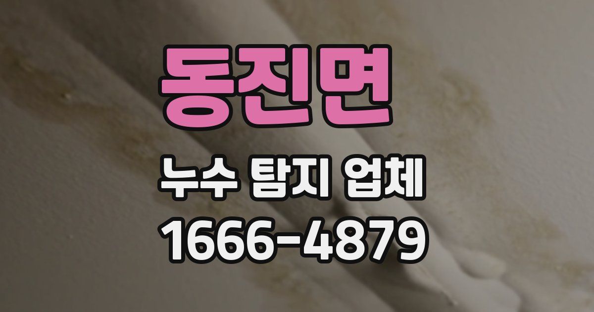 동진면 누수 탐지 업체