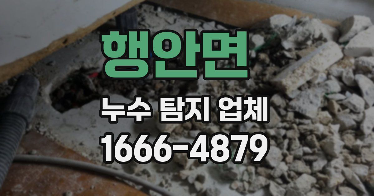 행안면 누수 탐지 업체