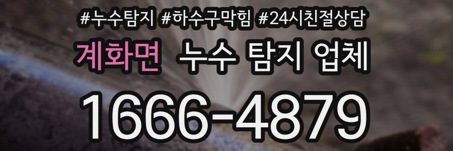 계화면 누수 탐지 업체