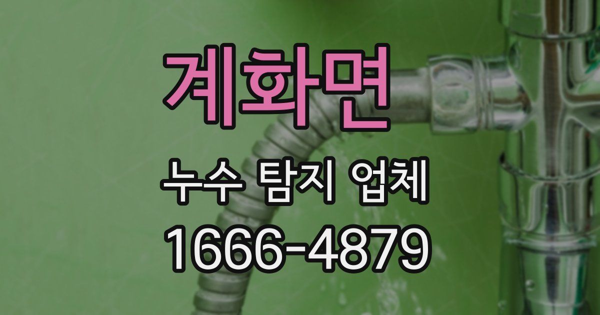 계화면 누수 탐지 업체