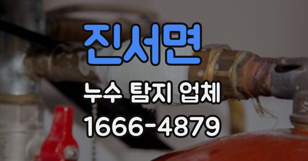 진서면 누수 탐지 업체