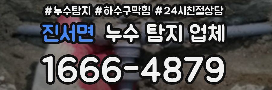 진서면 누수 탐지 업체