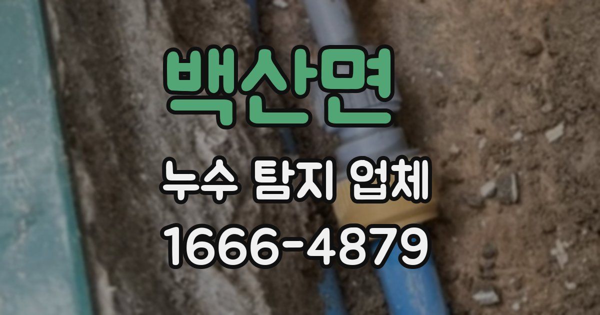 백산면 누수 탐지 업체