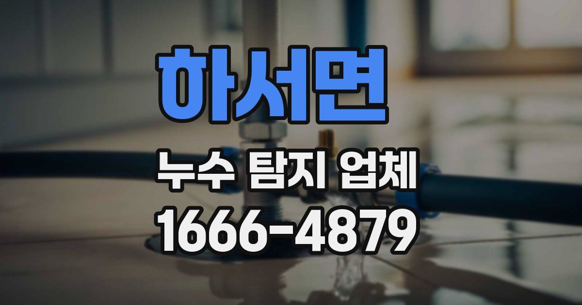 하서면 누수 탐지 업체