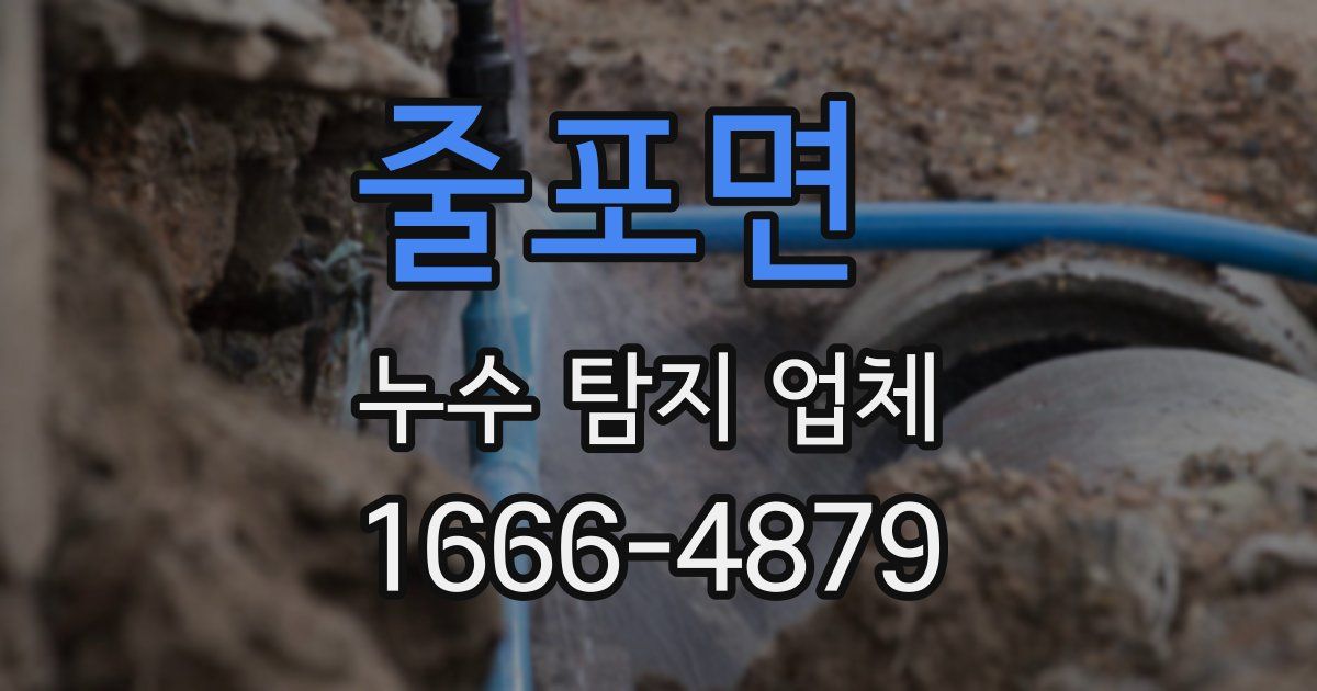 줄포면 누수 탐지 업체