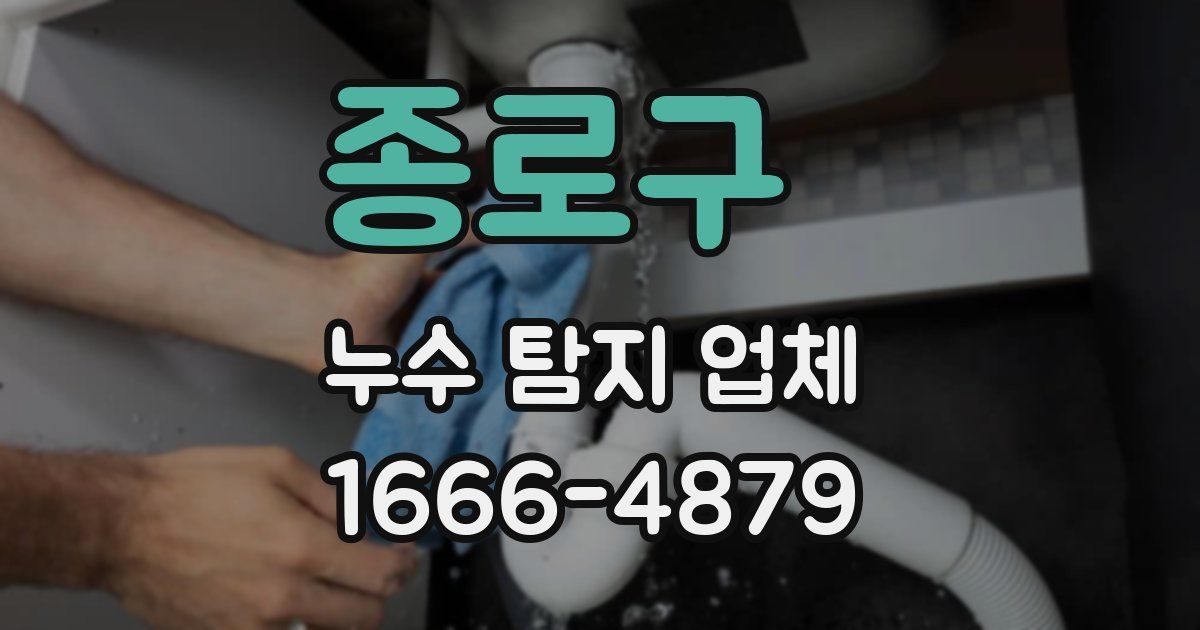 종로구 누수 탐지 업체
