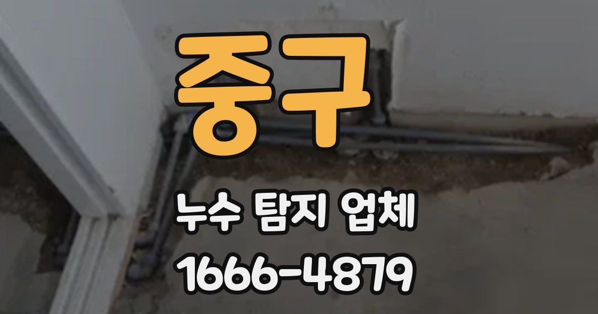 중구 누수 탐지 업체