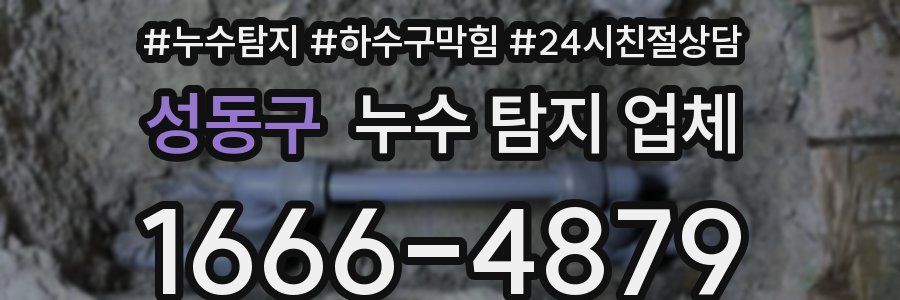 성동구 누수 탐지 업체
