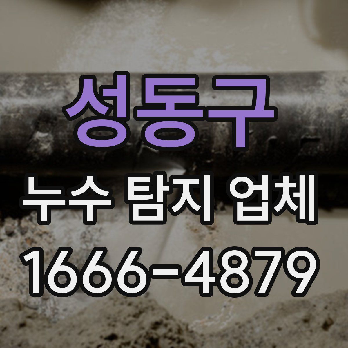 성동구 누수 탐지 업체