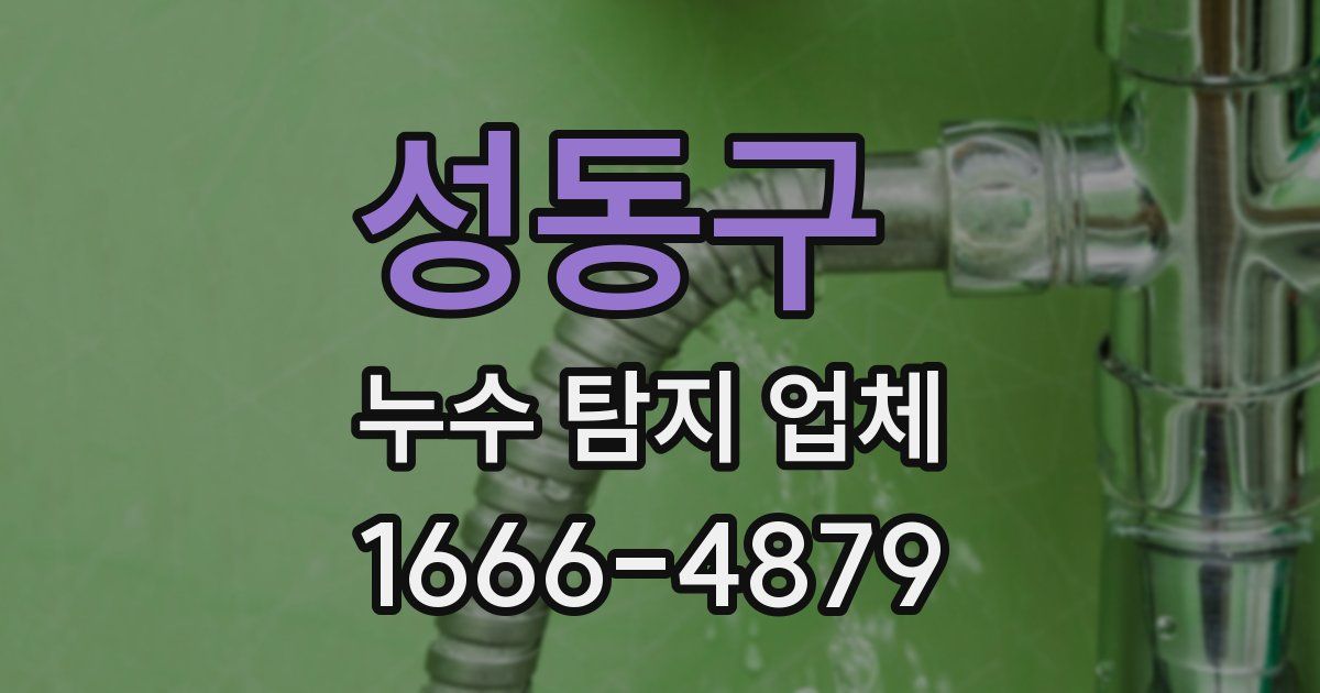 성동구 누수 탐지 업체